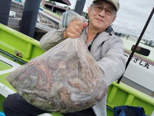 マダコの釣果