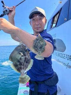 カワハギの釣果