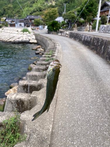 海津