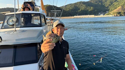 津久見湾