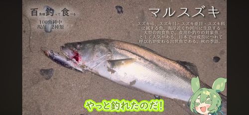 大船渡湾