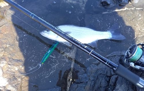 油谷湾