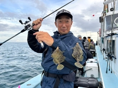カワハギの釣果