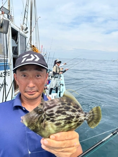 カワハギの釣果
