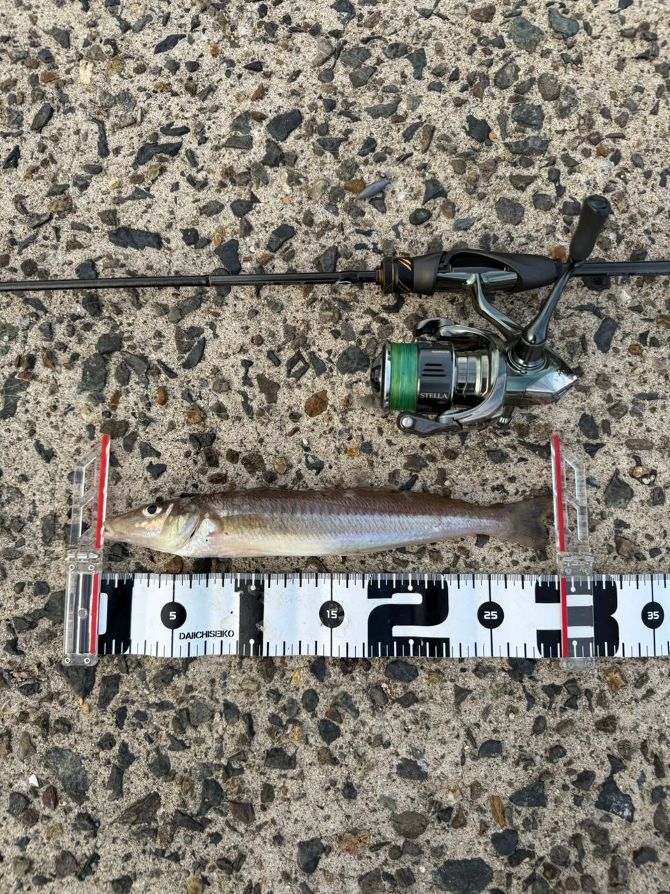 SHIMANO 19ソアレ リミテッド S68UL-Sの最安値・インプレ・釣果 | 本音