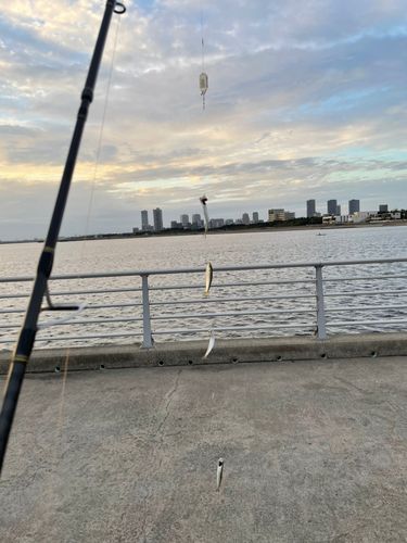 釣果