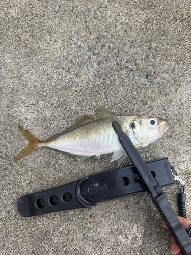 五ヶ所湾