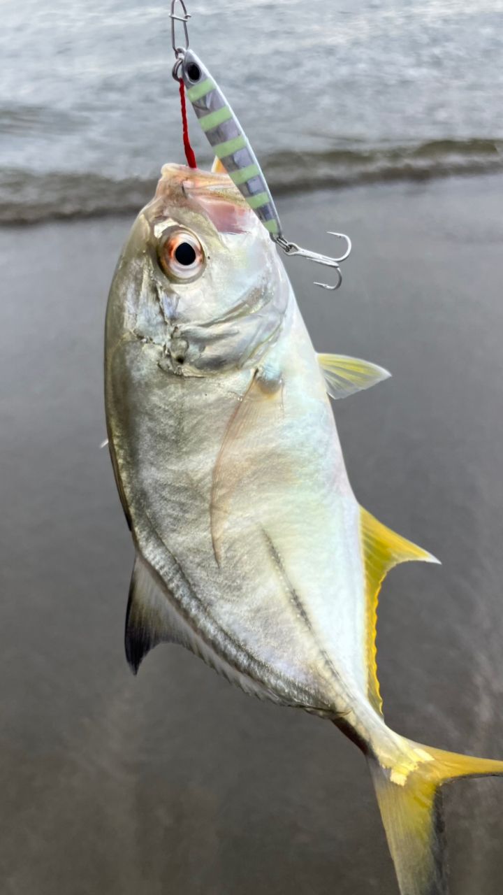 SHIMANO 23ソアレ BB アジング S610L-Sの最安値・インプレ・釣果