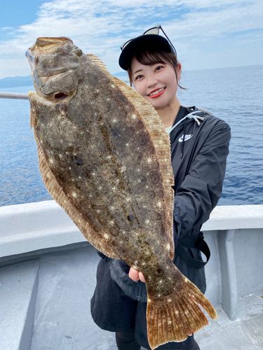 ヒラメの釣果