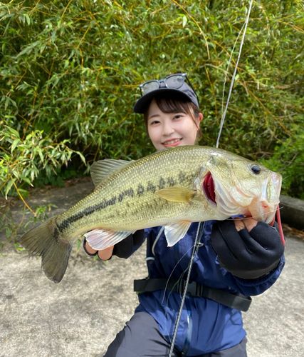 淡路島野池群