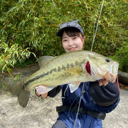 ブラックバス