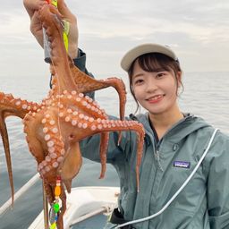 タコ