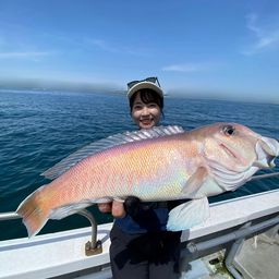 シロアマダイ