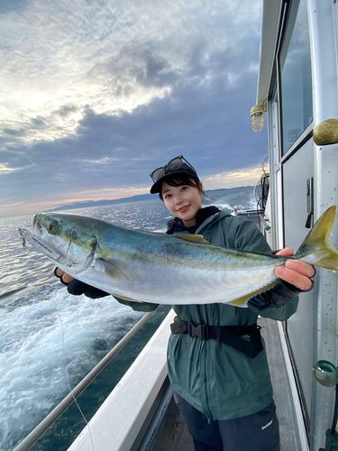 ハマチの釣果