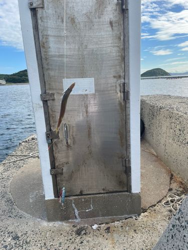 相島