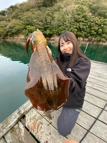 尾鷲湾