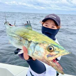 サワラ