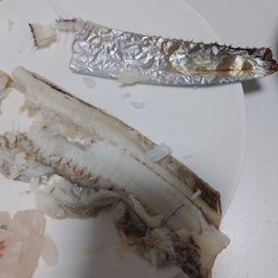 タチウオ