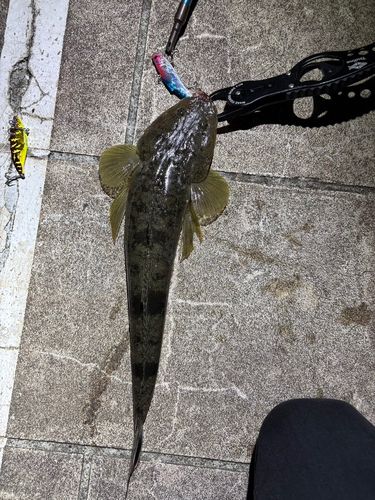 旧江戸川