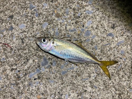 男鹿半島