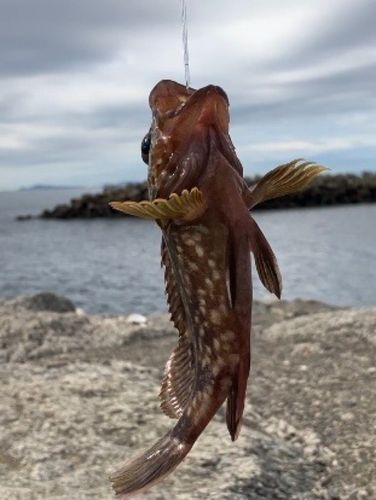 三河湾