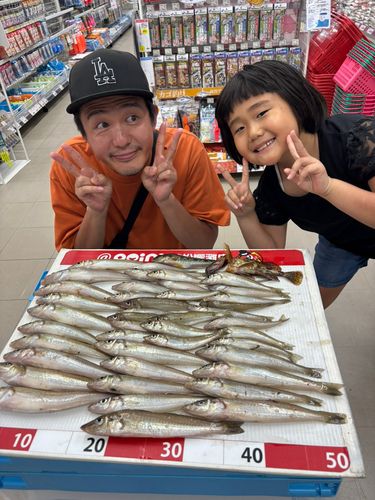 キスの釣果