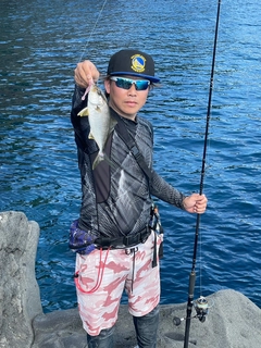 ショゴの釣果