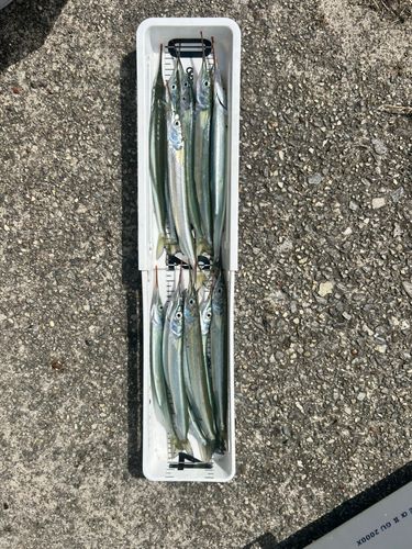 武豊緑地
