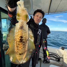 アオリイカ