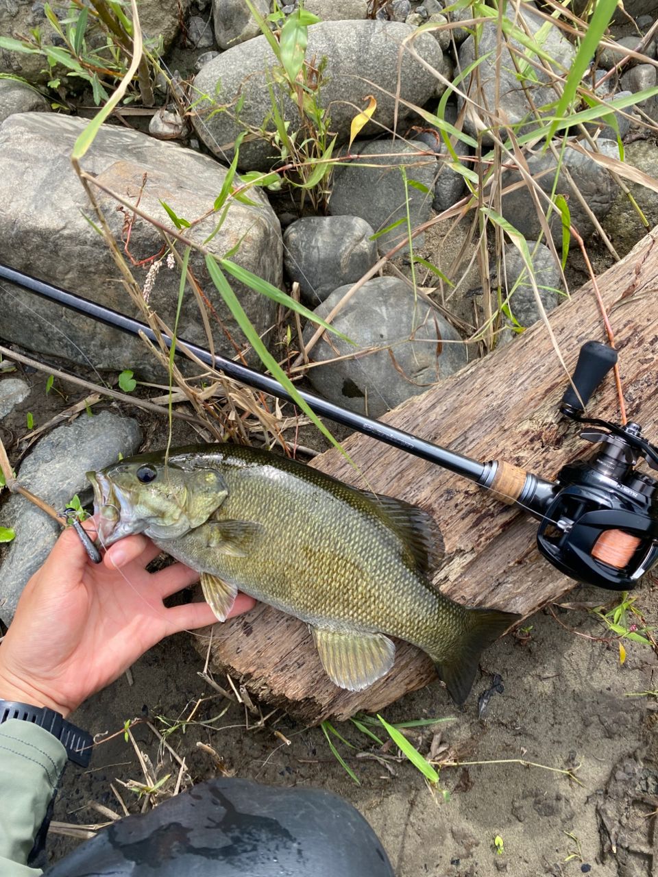 専用になります。バンタム170mh美品 SHIMANO 22バンタム 170MHの最安値・インプレ・釣果 | 本音の口コミが