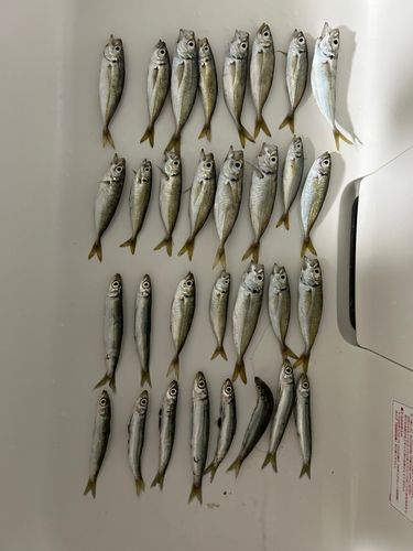 垂水漁港