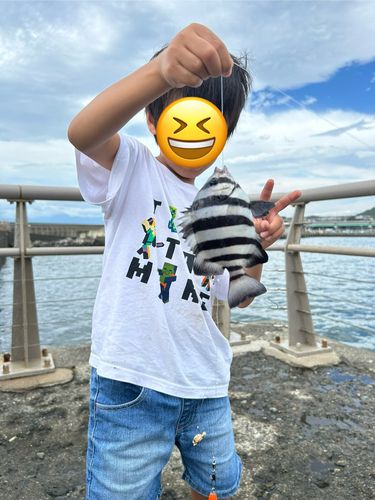 イシダイの釣果