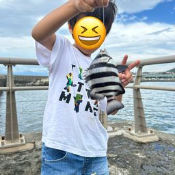 イシダイ