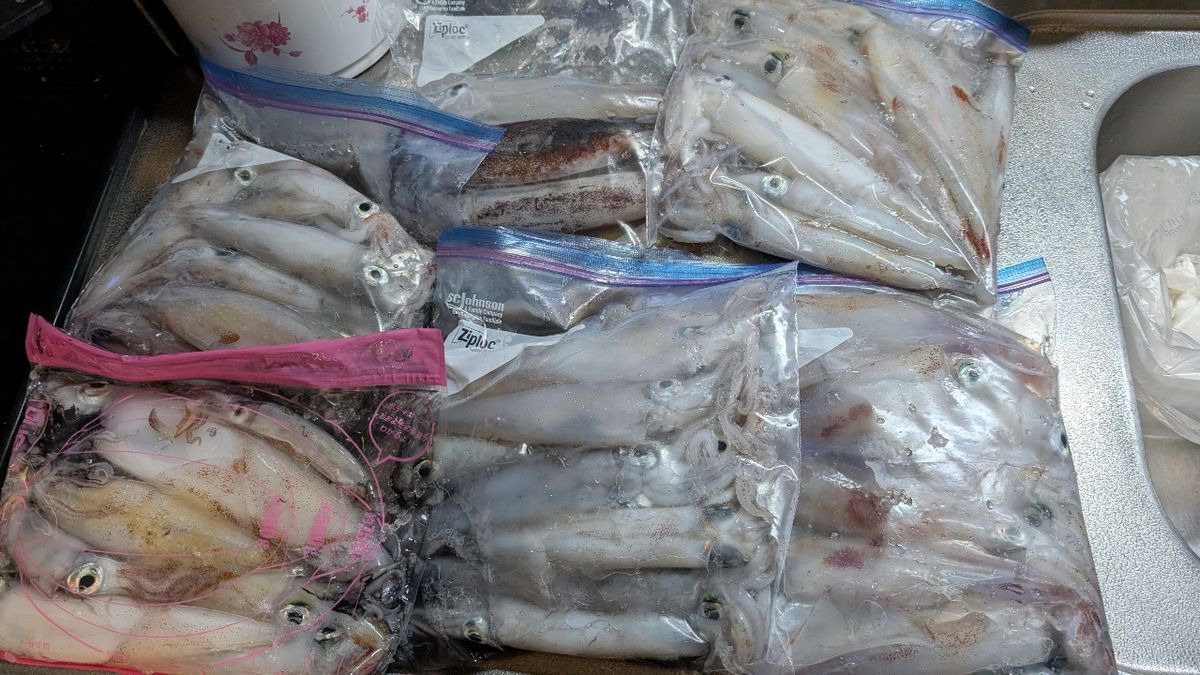 KEN0901さんの釣果 3枚目の画像