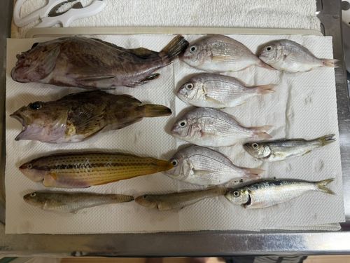 知多湾