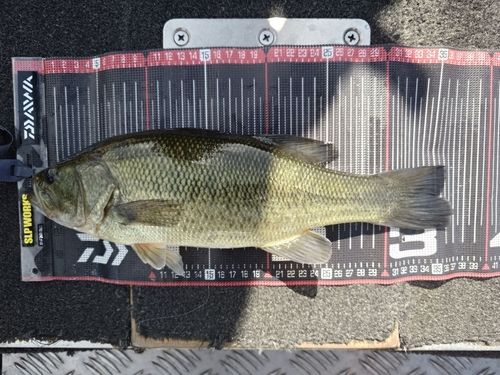 阿武川ダム
