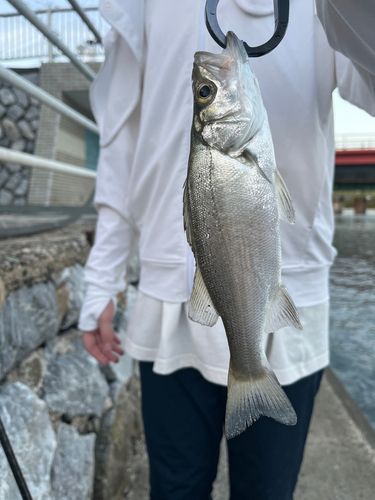 表浜名湖