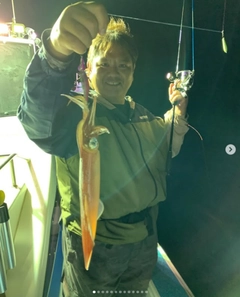ケンサキイカの釣果