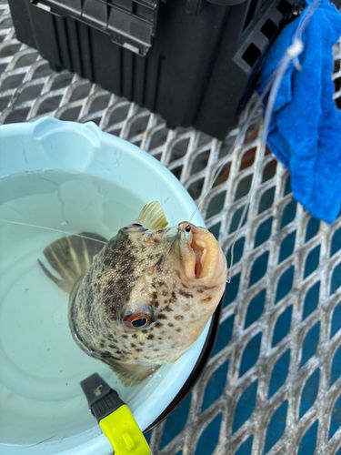 本牧海づり施設