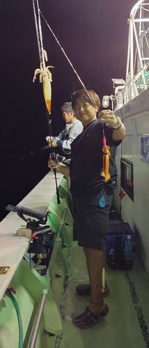 三陸海岸（岩手）