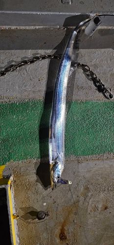 石巻湾