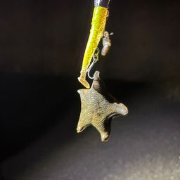 キハダマグロ