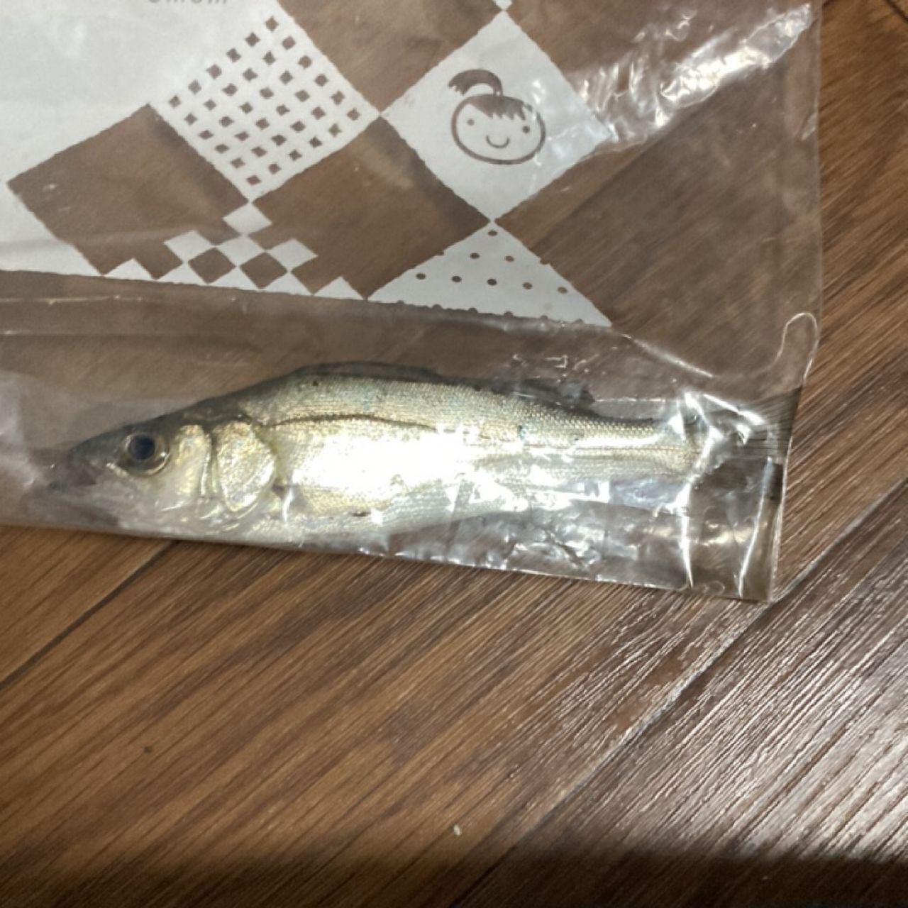 セイゴ（ヒラスズキ）