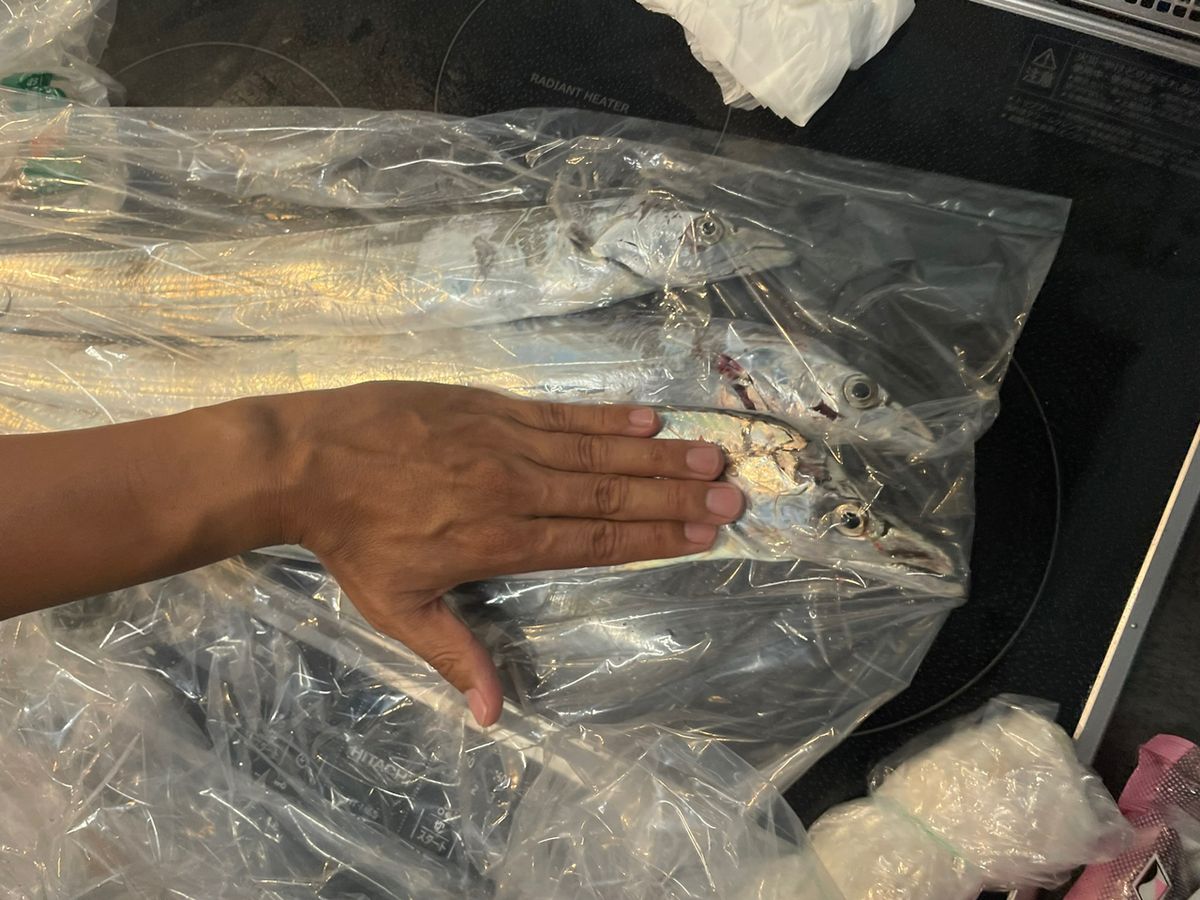 peipeipeiさんの釣果 2枚目の画像