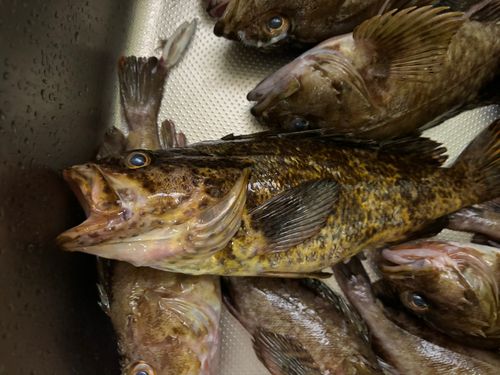 伊勢湾