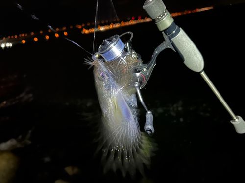 大阪湾