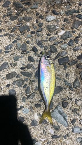 福の浦漁港