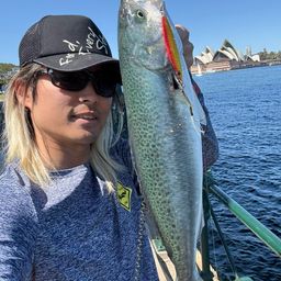 トラウトサーモン