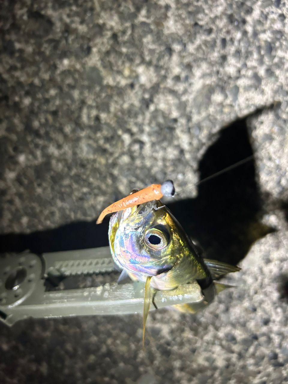 アジ