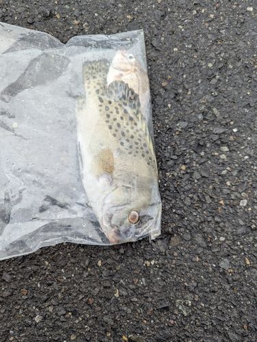 霞釣り公園